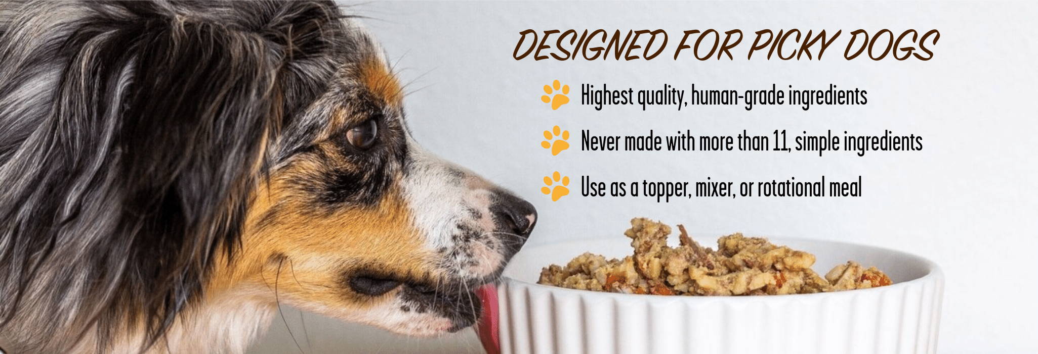 Dog Food Toppers For Picky Dogs Dog Food Mixers, Toppings Portland